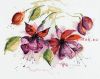 Lanarte 34849 (PN-0008026), Фуксия в акварели (Fucsia in Watercolour)