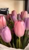 871BB2D7-1467-4BA8-8E44-8C7F2F8A2431.thumb.jpeg.e35e21116901a70a69c66f7ef4f95bf4.jpeg