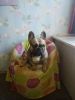 9_24032023.JPEG