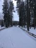 B6E37179-F977-48CB-B622-C7D8D0333632.thumb.jpeg.511649173b287ec2bc7a1ed1d4c4eb98.jpeg