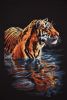 DSC_5350.thumb.JPG.245ce939da5a5383eae7225858e2b1ec.JPG