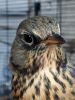 IMG-20211115-WA0029.thumb.jpg.fd0ba2a14dcfaf03984c9e49aa02e817.jpg