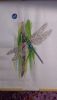IMG-20220618-WA0003.thumb.jpg.8ab9b8b77a2f7bf86aee30344893f03a.jpg