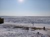 IMG-20230219-WA0006.thumb.jpg.944594e6e68021c4c3fd629d5089788b.jpg