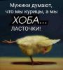 IMG-20230310-WA0001.thumb.jpg.9ea14278e2fc13c29a8a7a83a0bf793c.jpg