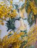 IMG20230308112844.thumb.jpg.3fda705f313c7398fc61f6f10693c3e0.jpg