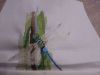 IMG_20220520_005944.thumb.jpg.461f695bd259eaf218d31e9b7bc44c11.jpg