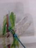 IMG_20220522_214826.thumb.jpg.3b315a5a15376600ce6177c14cb7c0c3.jpg?1679248082119