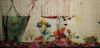 IMG_20230101_143405.thumb.jpg.bcacd8c28feb71de6041fe61a3a78613.jpg
