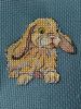 IMG_20230208_132904.thumb.jpg.e37a0fd70af1be51749682e6d0a497ab.jpg