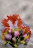 IMG_20230223_202452.thumb.jpg.dfd0713dd086095138980a328b6cf5b5.jpg