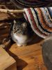 IMG_20230224_194153.thumb.jpg.59fe07c5cdb2ed74b9f9cc6cff14425b.jpg