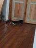 IMG_20230225_081823.thumb.jpg.5232a40abbbc3dedaf145e413fbccae8.jpg