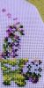 IMG_20230305_230427.thumb.jpg.cb7ec4714d7f96130175af51b56bff57.jpg