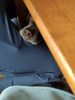 IMG_20230307_103306.thumb.jpg.ac125c30e8735a9e95ad49725c9a661e.jpg