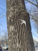 IMG_20230308_134553.thumb.jpg.f1b908514deebc31c1a0d5261cc75c18.jpg