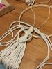 IMG_20230308_185729.thumb.jpg.0ed94ba62dfe12b53dbd17876c482379.jpg