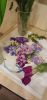 IMG_20230310_001259.thumb.jpg.b9be20fafb4378e7bde2b4bd9fc1fd2f.jpg