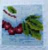 IMG_20230312_183244.thumb.jpg.c86a7fbbf92097f9bea8c565df645f0f.jpg