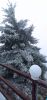 IMG_20230314_123626.thumb.jpg.d881540da26c85c5193de39ea06232bc.jpg