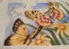 IMG_20230316_224341.thumb.jpg.aad9285ef4b0b97b5a4cd8046f52cb53.jpg
