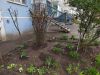 IMG_20230321_104854.jpg