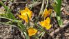 IMG_20230326_123500.jpg