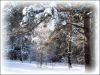 IMG_3984.jpg