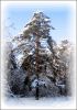 IMG_3987.jpg