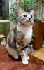 IMG_4725.thumb.jpg.0d2a401c8f77c81a7cc342c7a98033fe.jpg