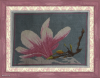 Magnolija_2_r.png