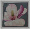 Magnolija_3_r.png