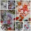 MyCollages-1.thumb.jpg.f716e96911257c817aadfd4ee3d21e1b.jpg