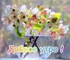 Screenshot_20230228-121822_VK.thumb.jpg.7f02697fc871f5a855607d26e3a6b196.jpg
