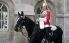 horse-guards-na.thumb.jpg.c0d16483c29ea9c1cca70e0965183074.jpg