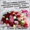 opqfcih0ulhaoi4.thumb.jpg.9797c9e5f38f622ab5dea4ce73bb1e8b.jpg
