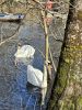 0D450217-26D6-4E66-BE00-135F52CE2914.thumb.jpeg.69ad7424d594573cd0ce45588434c2e2.jpeg