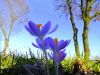 1108600538_.thumb.jpg.332c94301a302355ef2cc1a93bb352c1.jpg