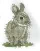 1179576706_BabyRabbitcopy.thumb.jpeg.646b461524bab2bfdddd9c6e76c7b99a.jpeg