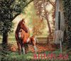 Dimensions 35260, Лошадь с жеребенком (Mare and Foal)