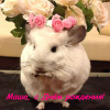 156724919_.thumb.png.a9d64cfc269cf60268ac90ec49646b41.png