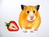 1641837525_1-flomaster-club-p-risunok-na-temu-khomyak-krasivie-risunki-1.thumb.jpeg.e87060448d0594bcb1dffaf6e242b7c2.jpeg