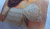 2.thumb.jpg.695ed21d536c829cadb65381a46ede16.jpg