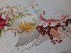20230318_091607.thumb.jpg.3faeca2a59c51b922b0168046390f967.jpg