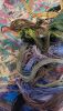 20230403_224029.jpg.ac7a6128a3f3c41cf752e6e568449f47.thumb.jpg.c198e173fda9c0e72306a817de510a33.jpg
