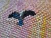 20230404_090611.thumb.jpg.16bcb6f76e9ccf35932a835198afe970.jpg