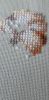 20230414_140158.thumb.jpg.caead95a3663c7111f3862689a47da83.jpg