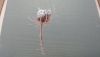 20230416_114848.thumb.jpg.c8718e3715f76476bb4ef9404fc09801.jpg