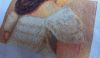 20230418_141007.thumb.jpg.178e211f13a3bfe17c83d6b5750af766.jpg