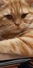 20230420_222758.thumb.jpg.97f7b6473688f6881892d41fc25a32d6.jpg